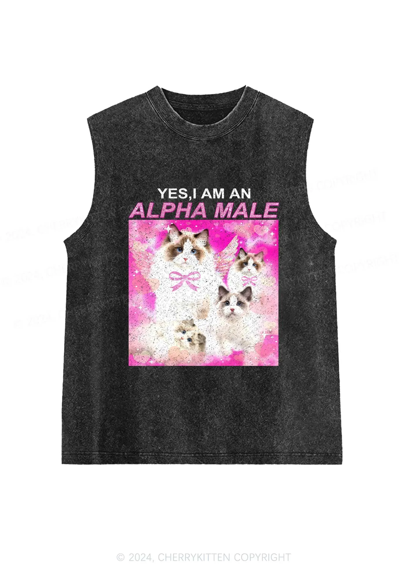 Alpha Male Y2K Washed Tank Cherrykitten