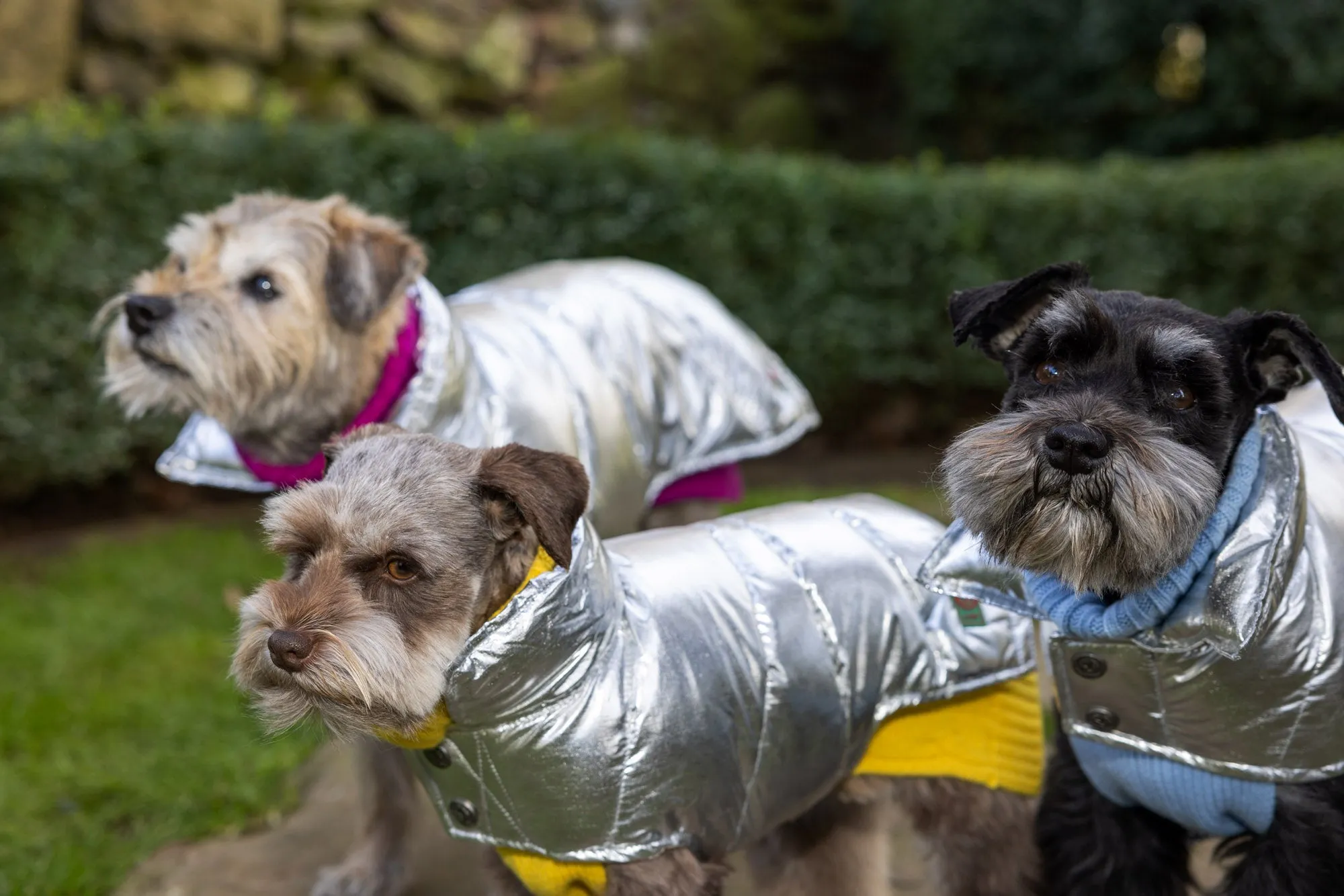 Down Puffer Coat  Hot Pink, Navy & Silver